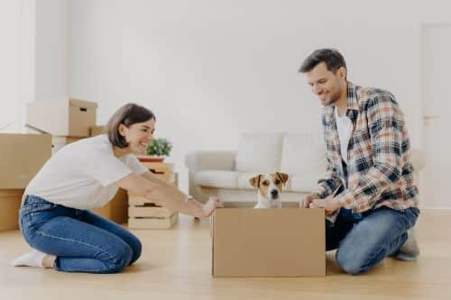 woman moves cardboard box with small puppy to husband side